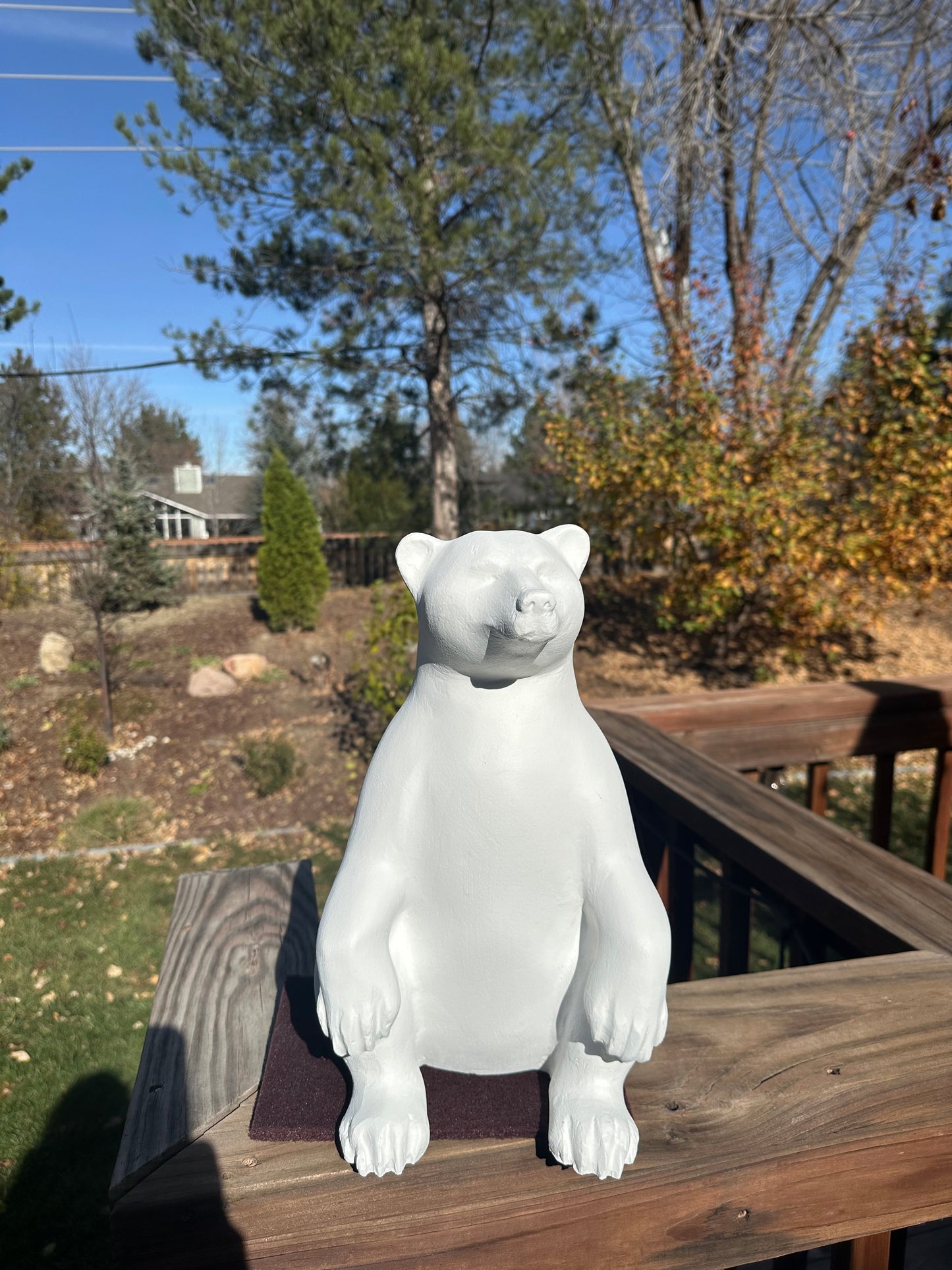 Bear in Stillness